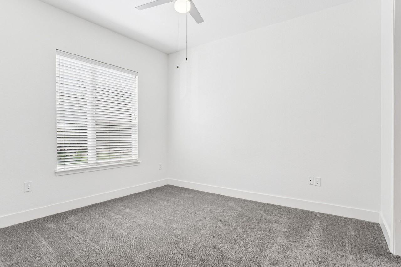 Dorian and Encore - Photo 6 of 84