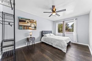 featured image of Duke Drive