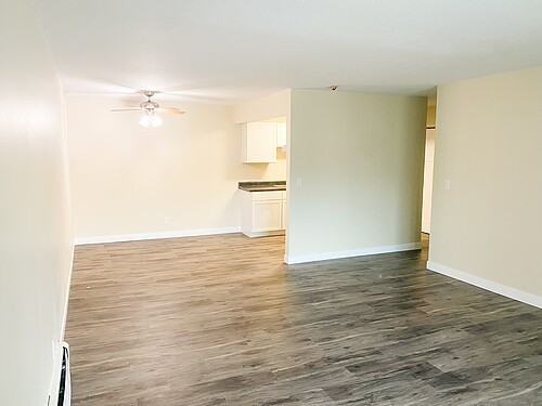 5445 Jackson Drive - Photo 7 of 12