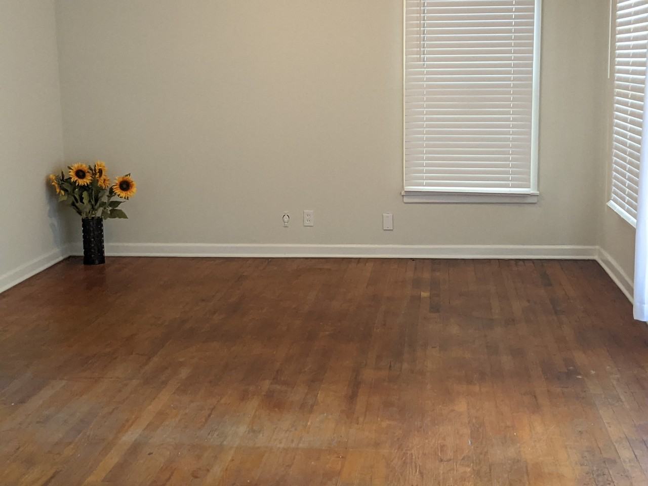 2417 S Kennedy Ave #NA - Photo 3 of 42