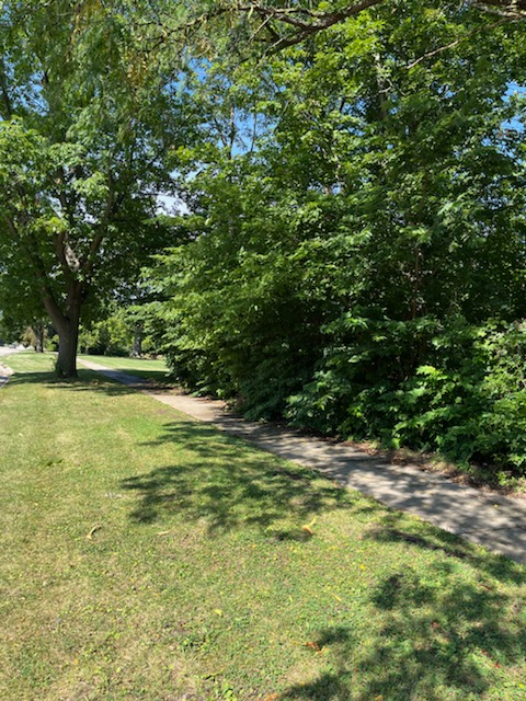 1211 17th Ave - Photo 2 of 10