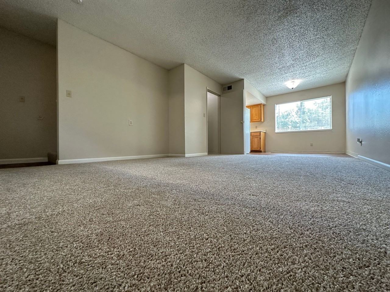 217 B Street Apartments, Located in the University Avenue/Aggie Village Area - Photo 6 of 17