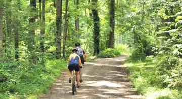 featured image of 256 Bent Creek Ranch Rd