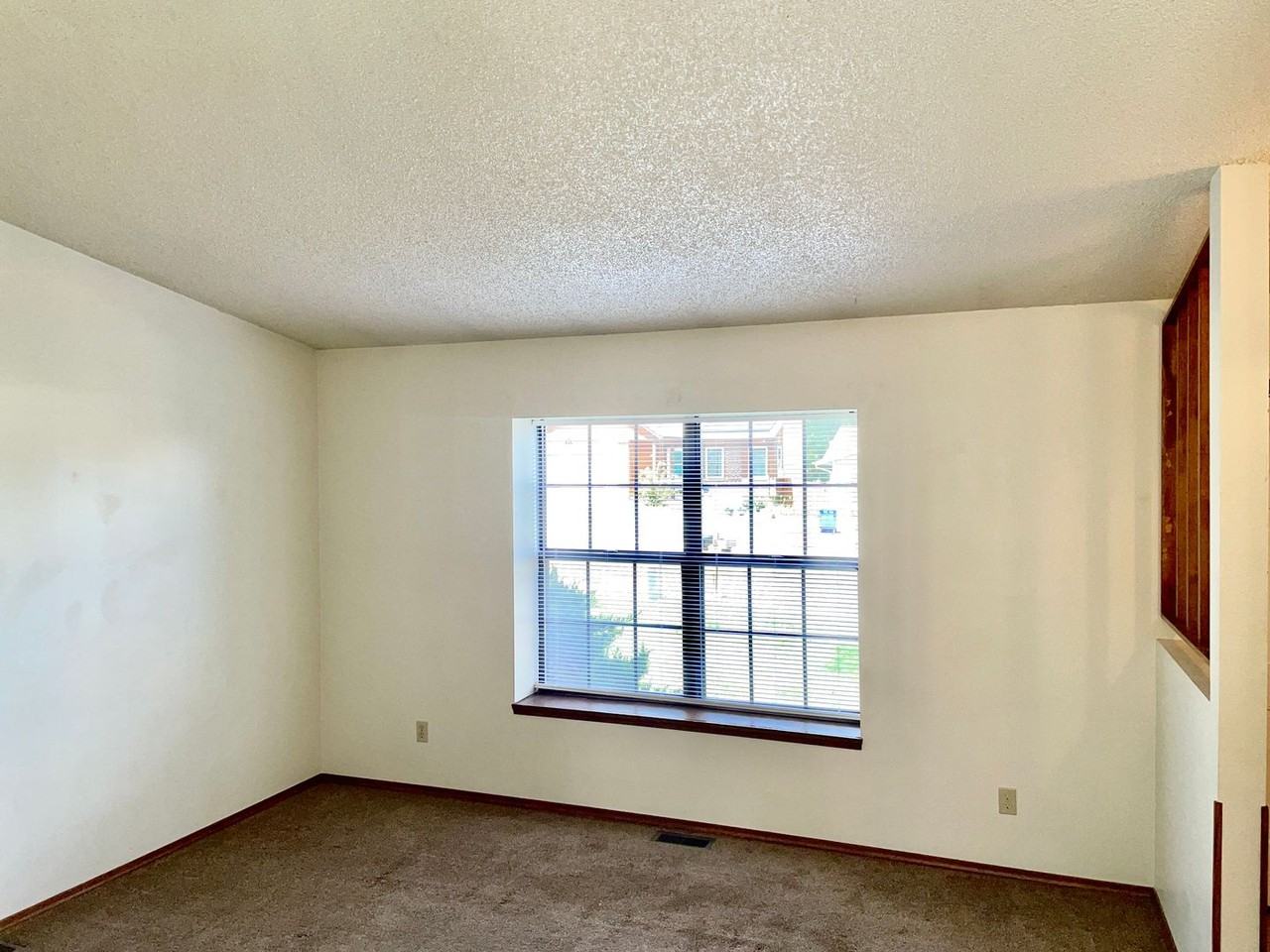 5461 Tennessee Pass Drive - Photo 4 of 21