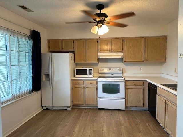 719 Brisa Ct - Photo 2 of 14