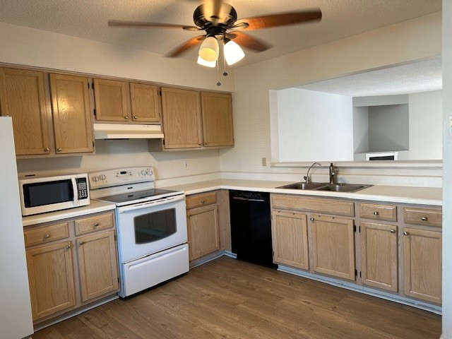 719 Brisa Ct - Photo 3 of 14