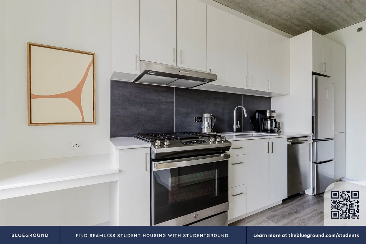 343 West Schiller Street - Photo 7 of 26