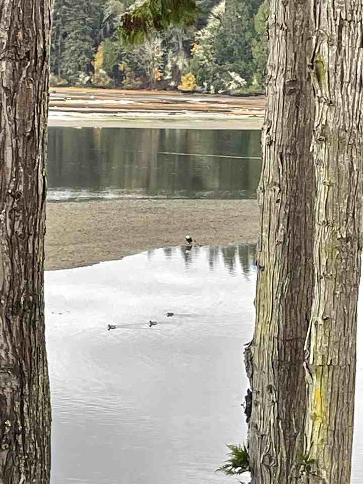 1976 Glenidle Road #17 - Photo 3 of 6