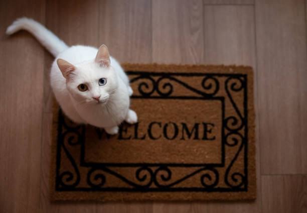 Franklin School 55+ - Photo 4 of 4