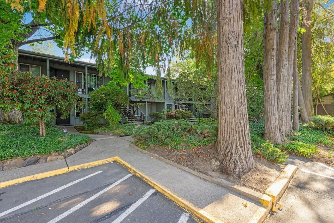 Ivanhoe Apartments - Photo 4 of 38