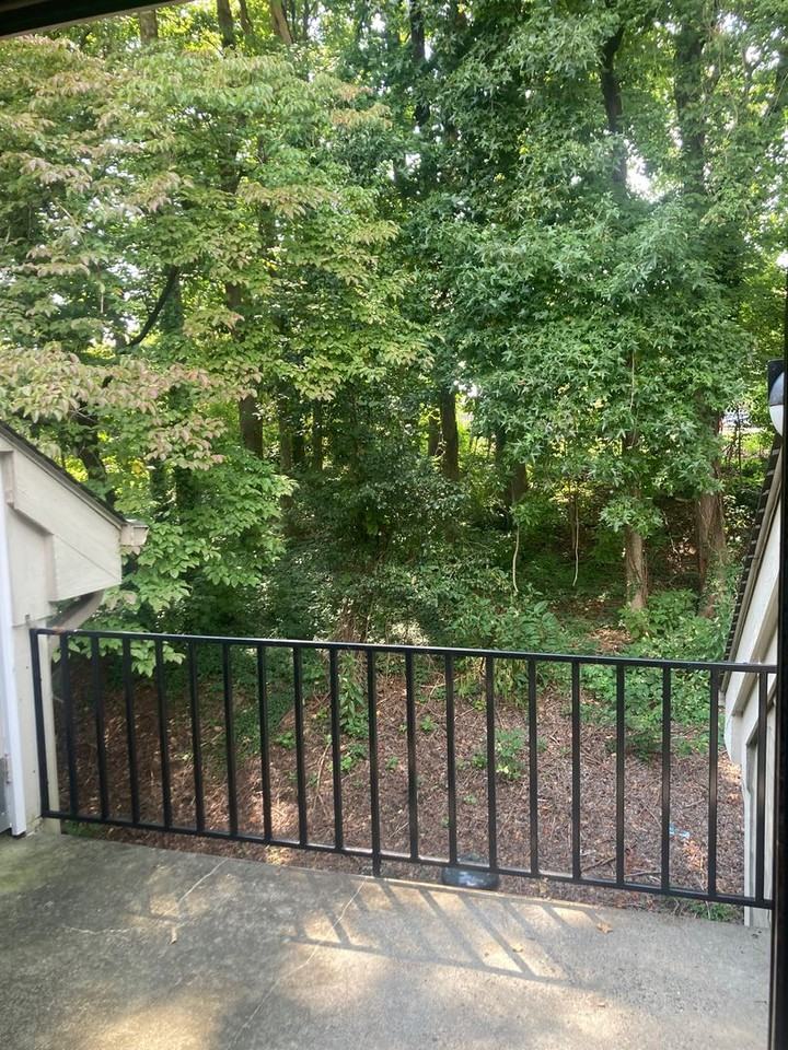 1502 Benjamin Pkwy Apt D - Photo 6 of 13