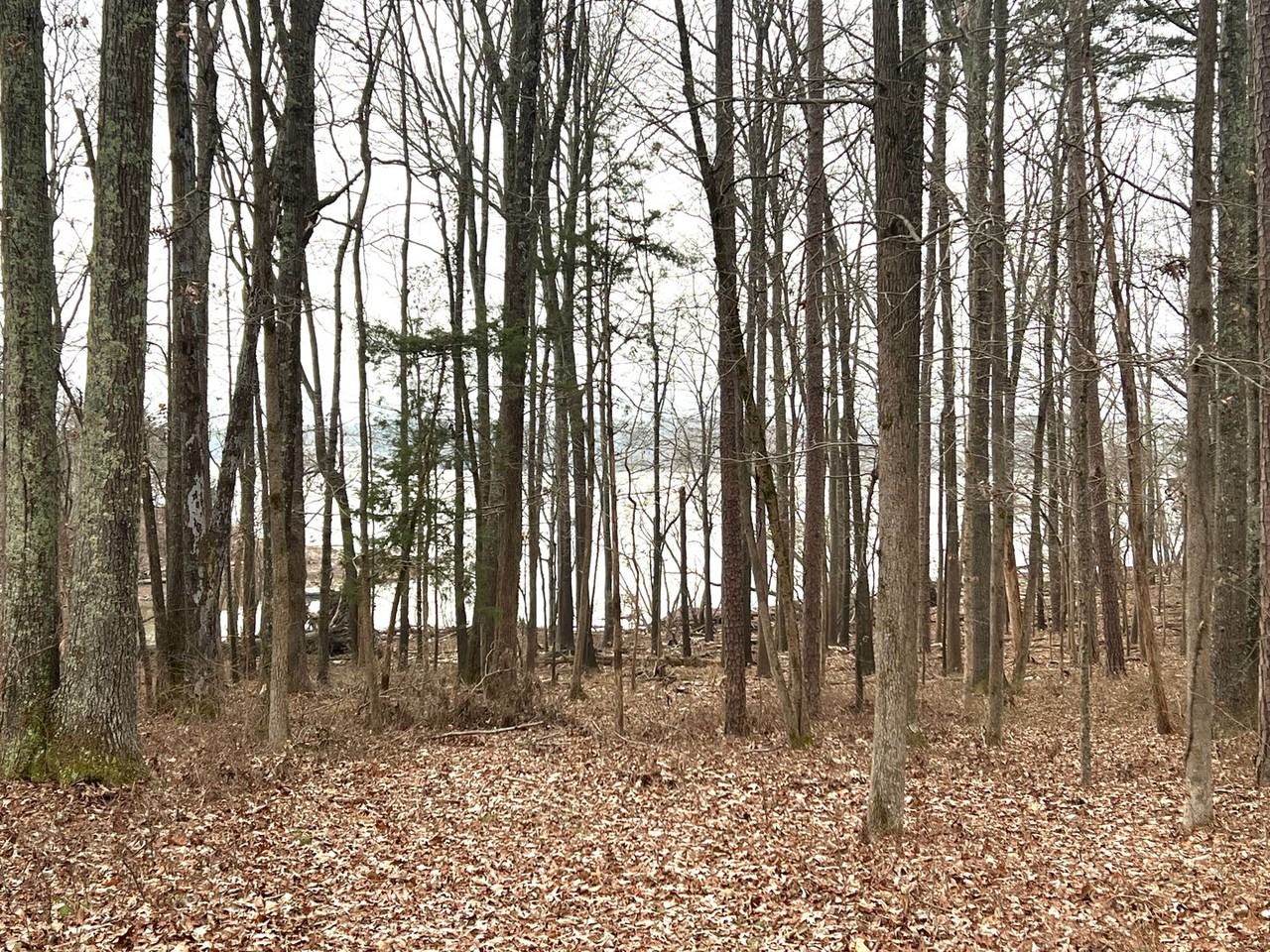 179 Sunset Blvd - Photo 3 of 23