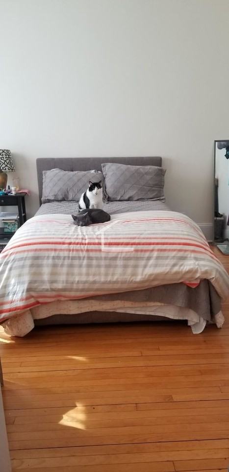 23 Bellvista Rd - Photo 3 of 7