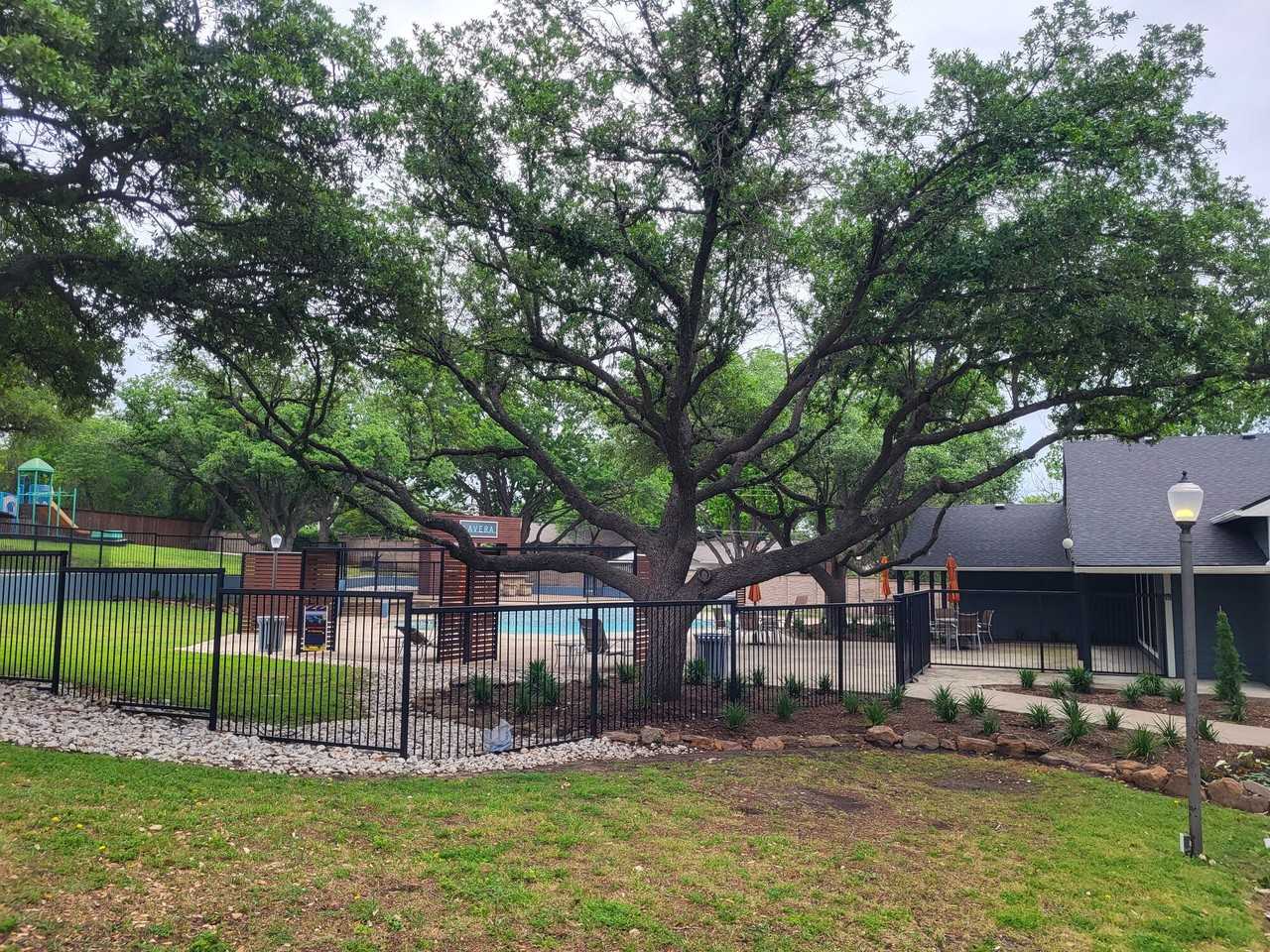 Lavera at Lake Highlands - Photo 4 of 40