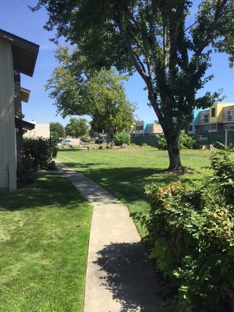 El Dorado Townhouses - Photo 2 of 2