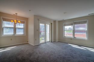 504 Elmwood Avenue - Photo 1 of 1