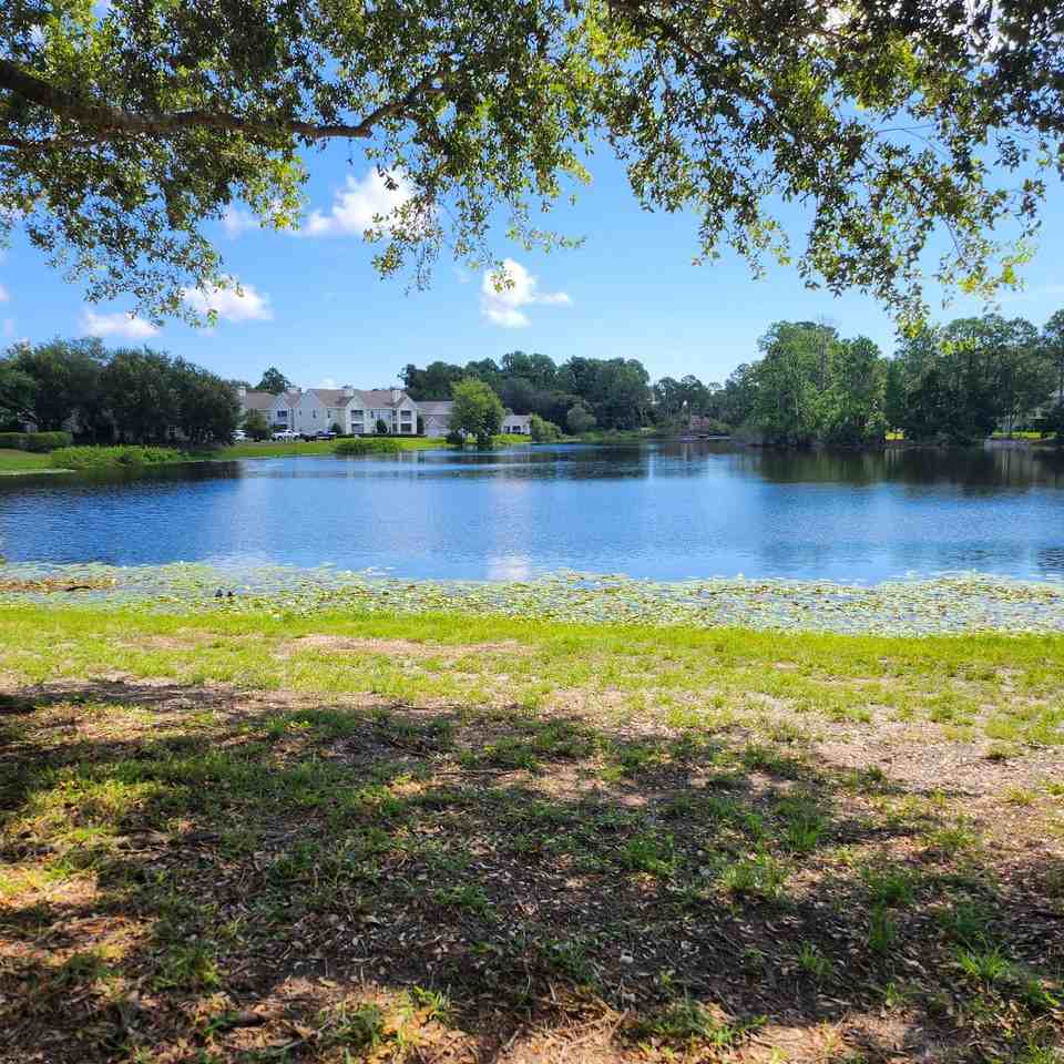 23699 Bahama Pt #1126 - Photo 4 of 27