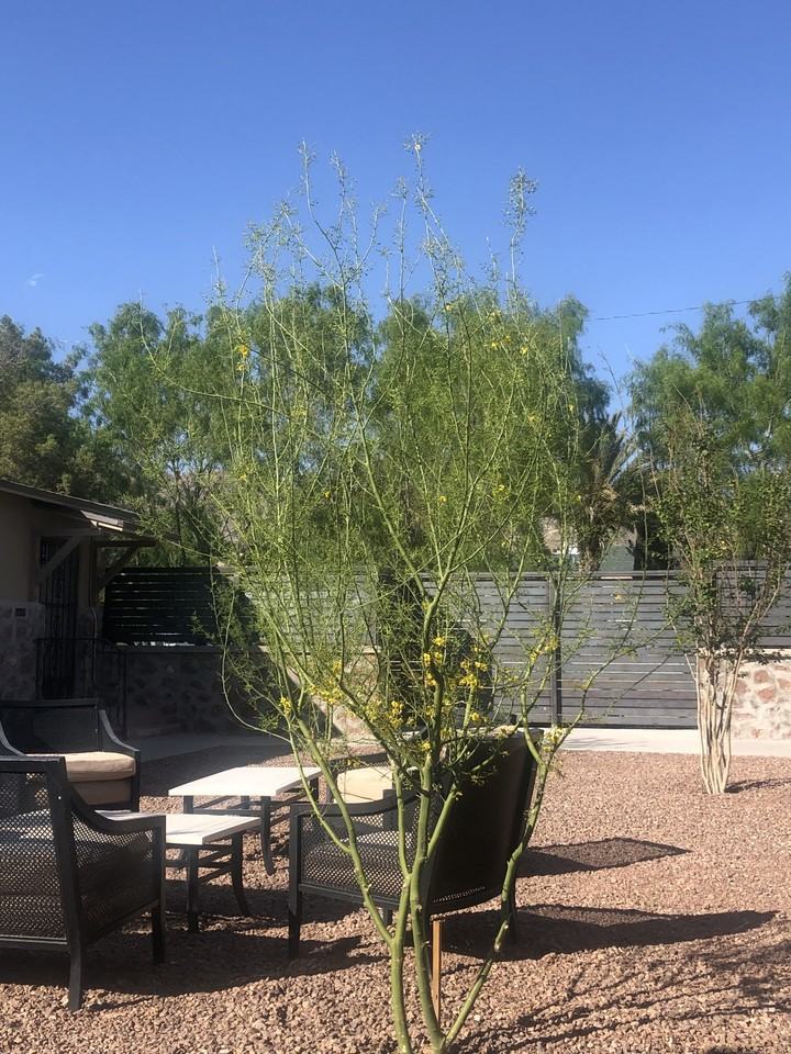 2707 N Kansas St #1 - Photo 7 of 8