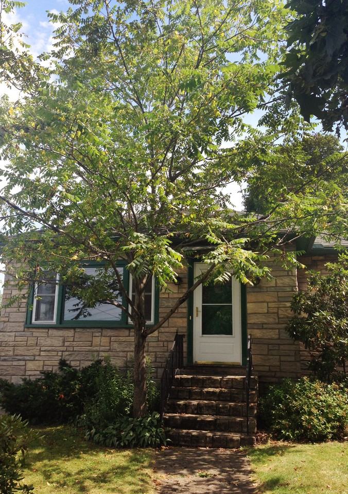 419 Colchester Ave - Photo 2 of 7