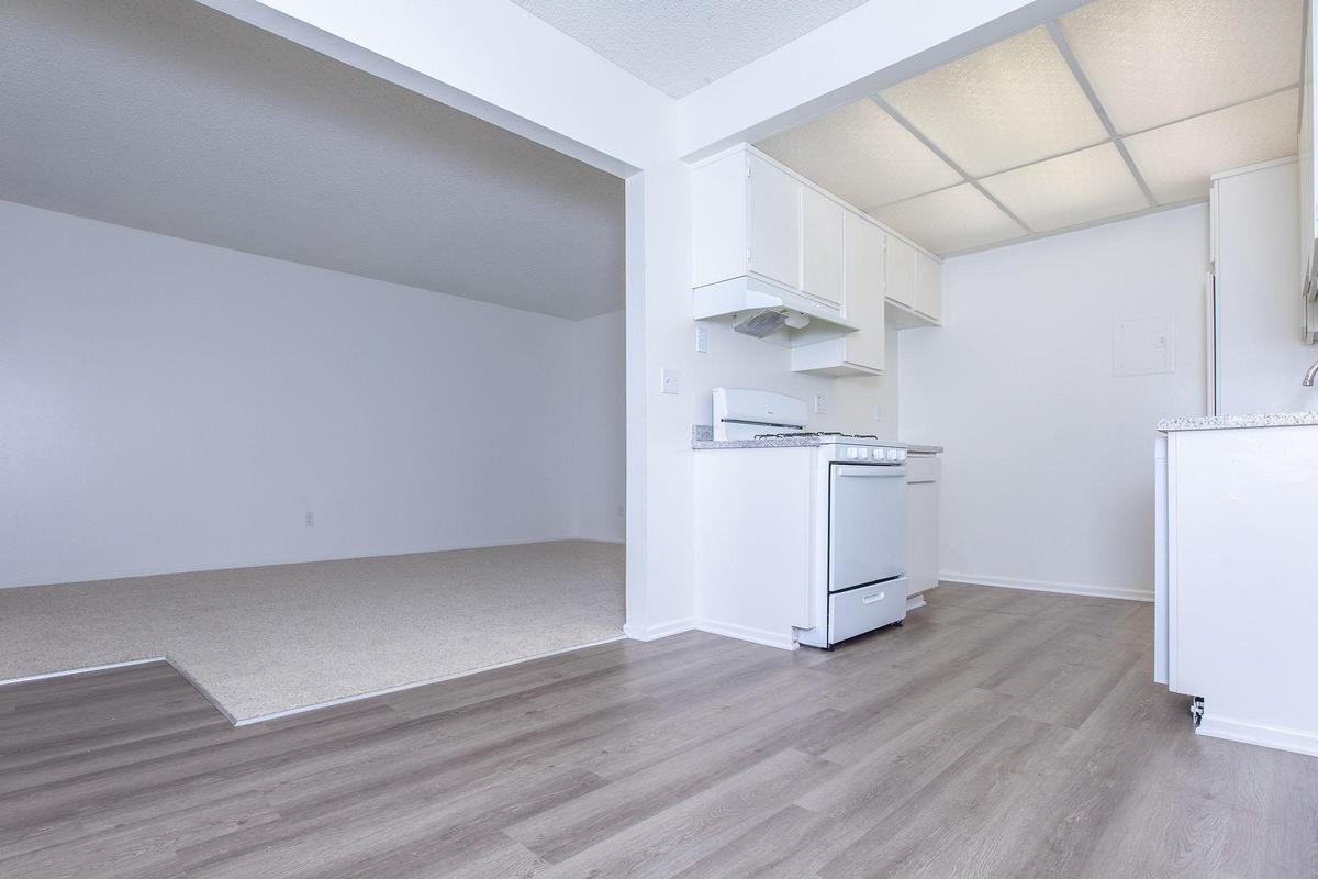 125 N Belinda Cir - Photo 5 of 41