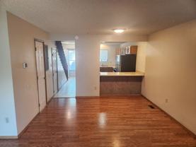 4041 Muse Way - Photo 1 of 1