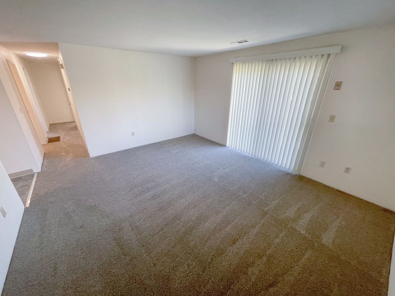 3033 Kane Street - Photo 2 of 20