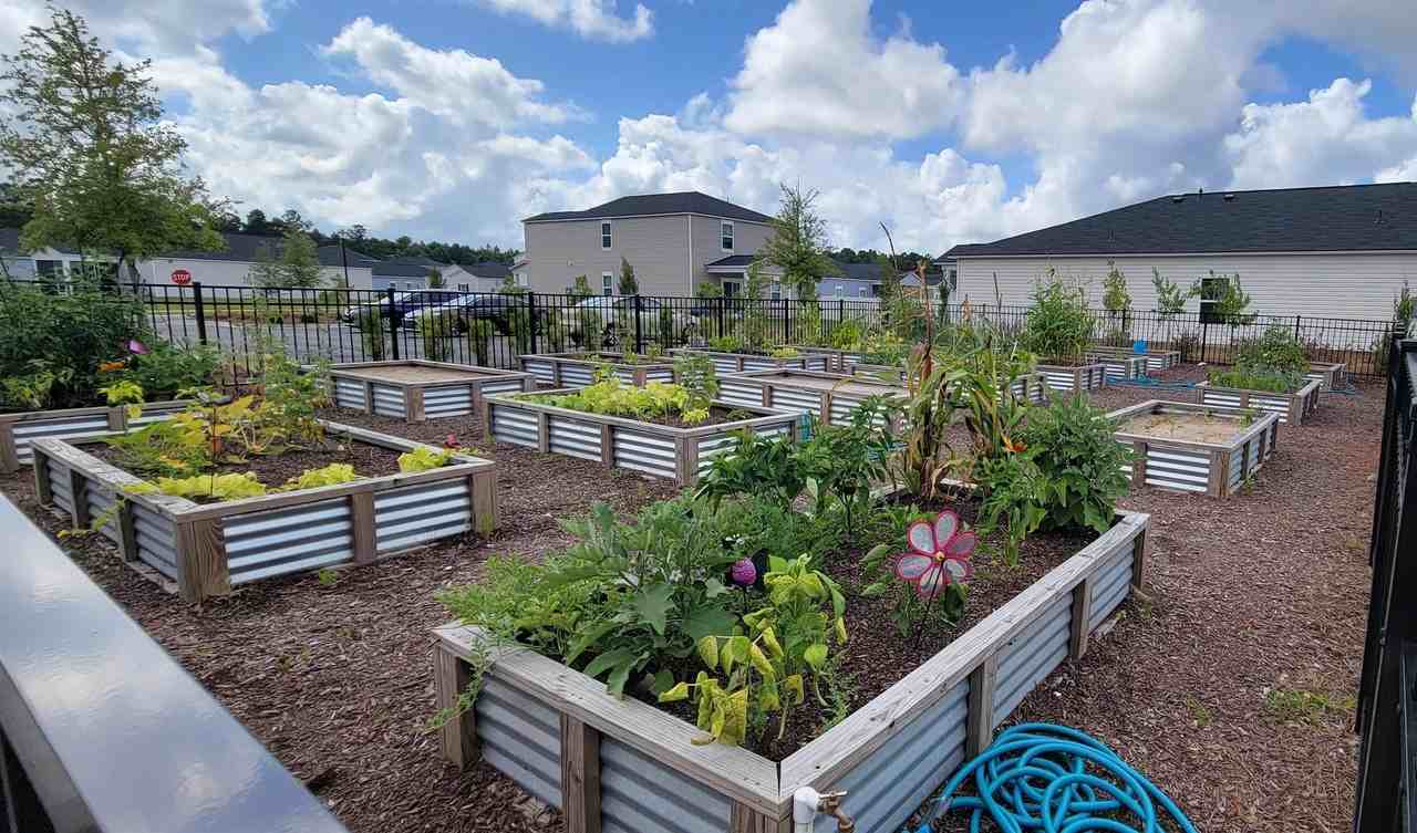 614 Culpeo Dr - Photo 4 of 34