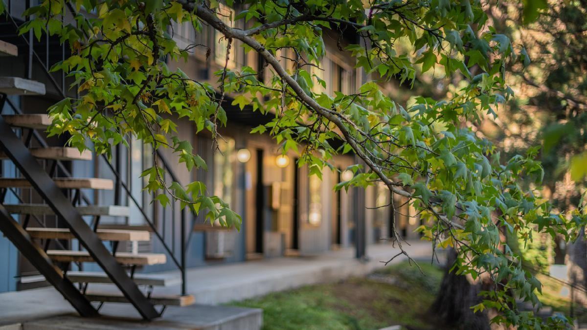 1617 North Virginia Street - Photo 2 of 6