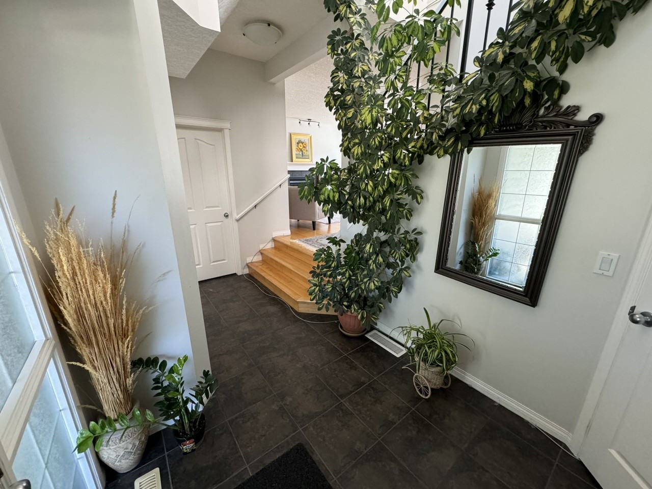 24 Royal Birch Street Northwest - Photo 3 of 20