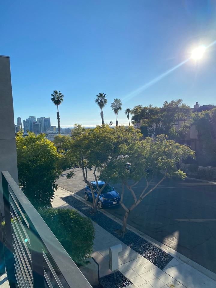 The Duke - Photo 5 of 6