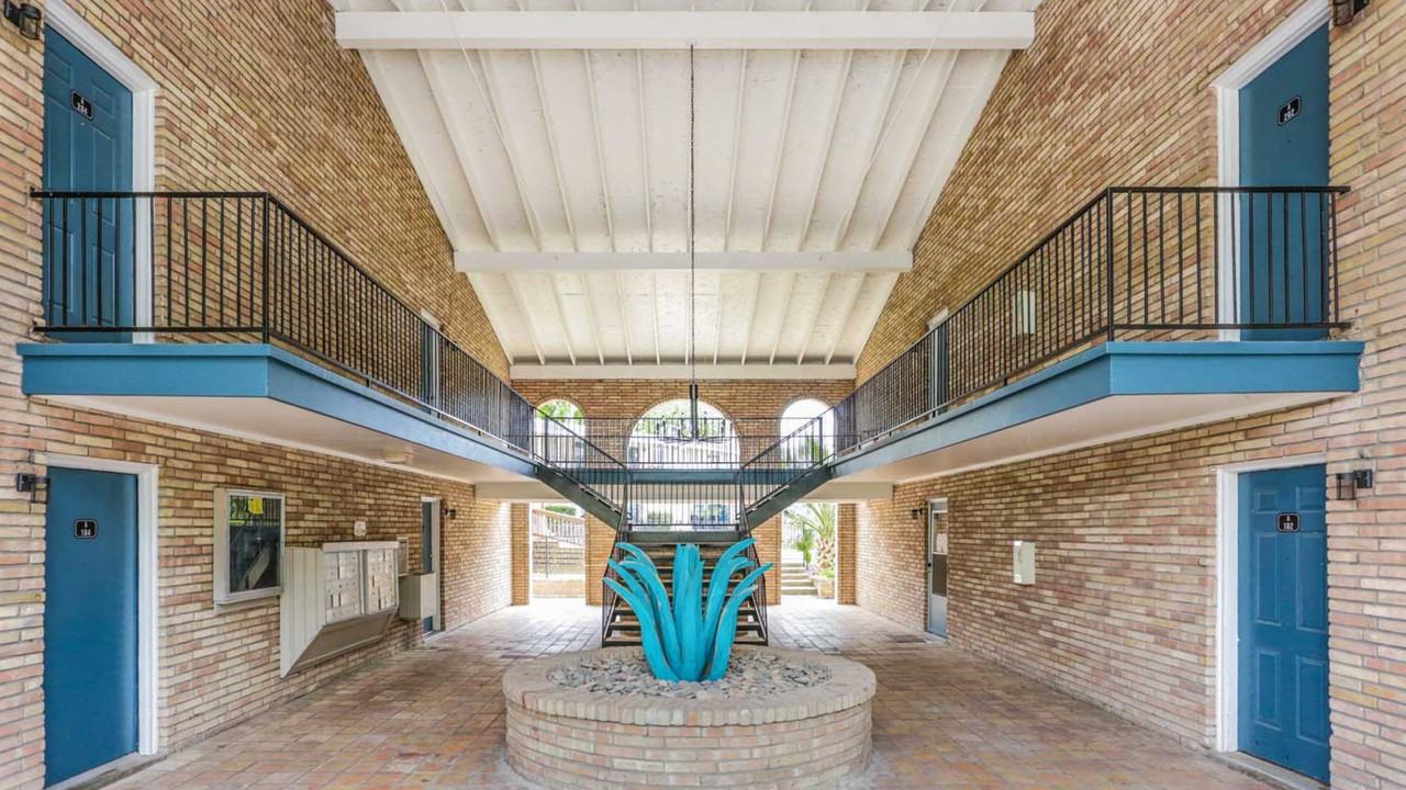 Blue Vine - Photo 5 of 12