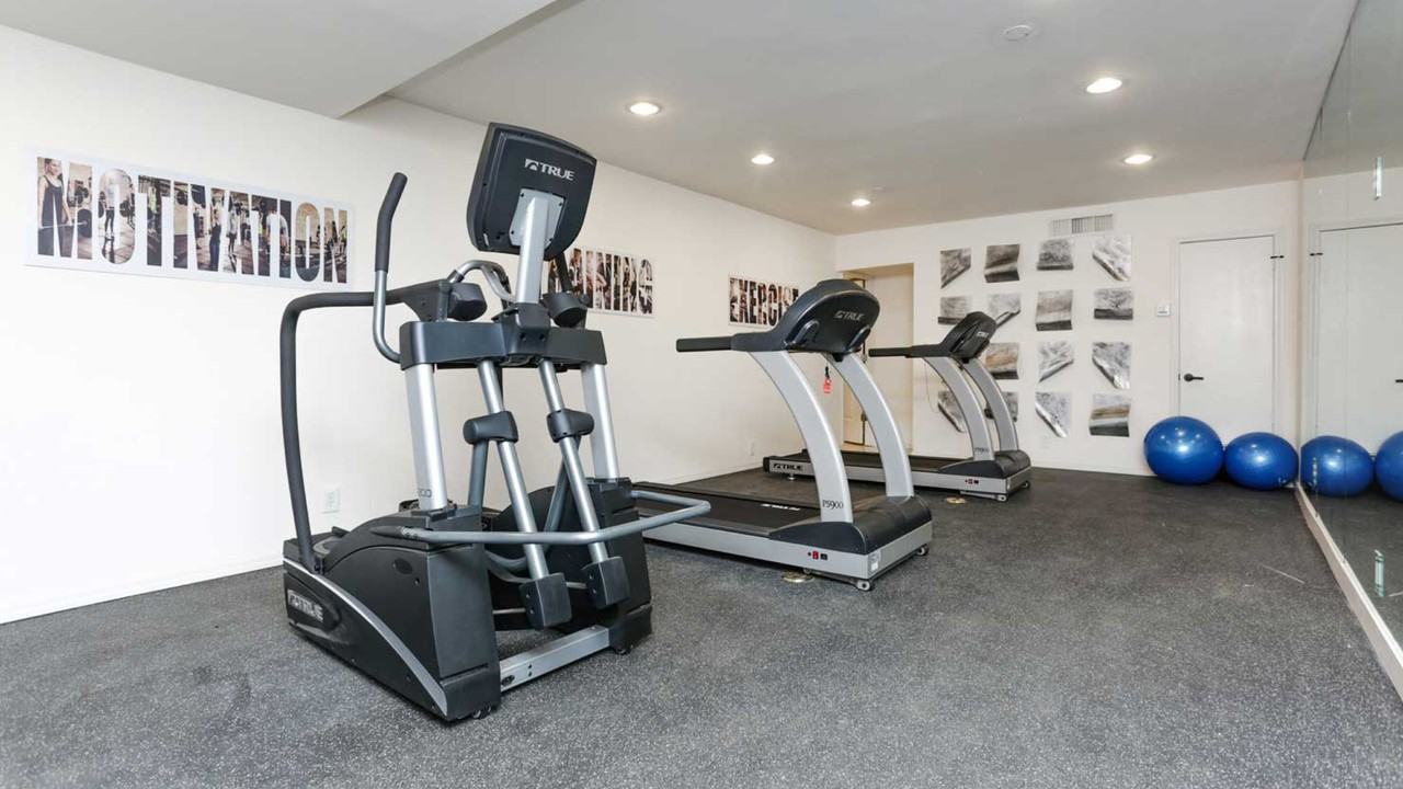 Blue Vine - Photo 6 of 12