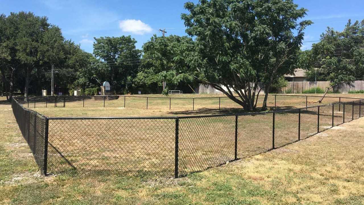 Blue Vine - Photo 7 of 12