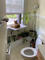 featured image of Nahant Road #8