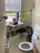 Nahant Rd #8 - Photo 1 of 1