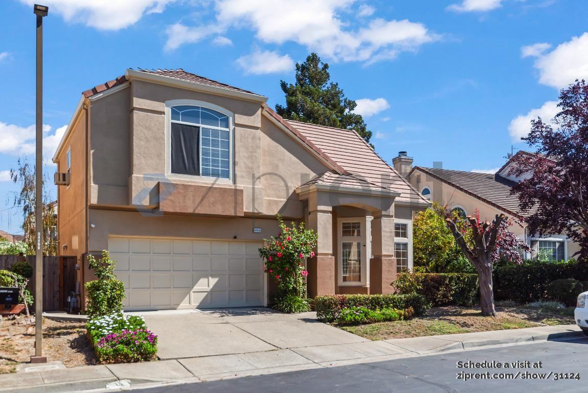 34342 Eucalyptus Ter - Photo 2 of 35