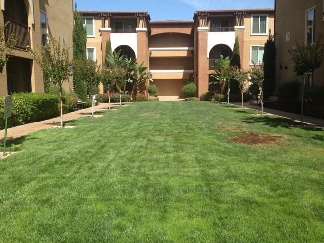 S Winchester Blvd_Kai Jaki - Photo 2 of 20