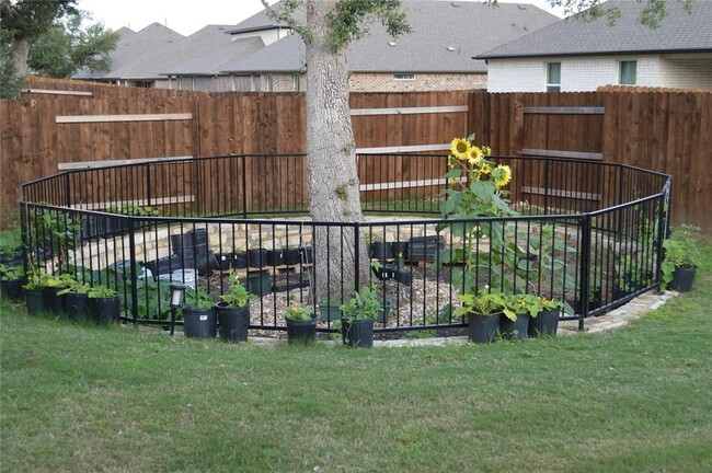 2316 Bravo Pass - Photo 5 of 35