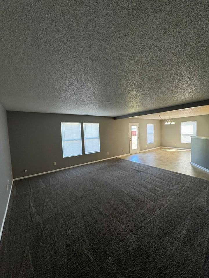 3131 Danube Way - Photo 4 of 16