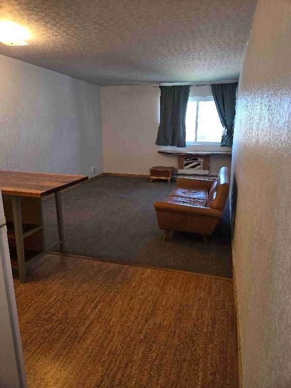 925 1st Ave N #407 - Photo 3 of 11