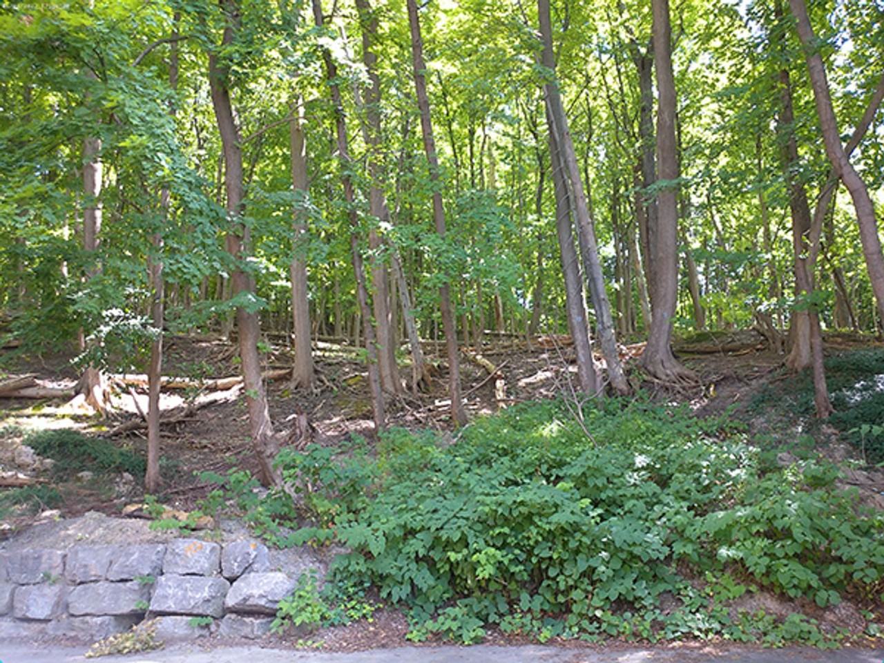 718 Euclid Ave - Photo 5 of 25
