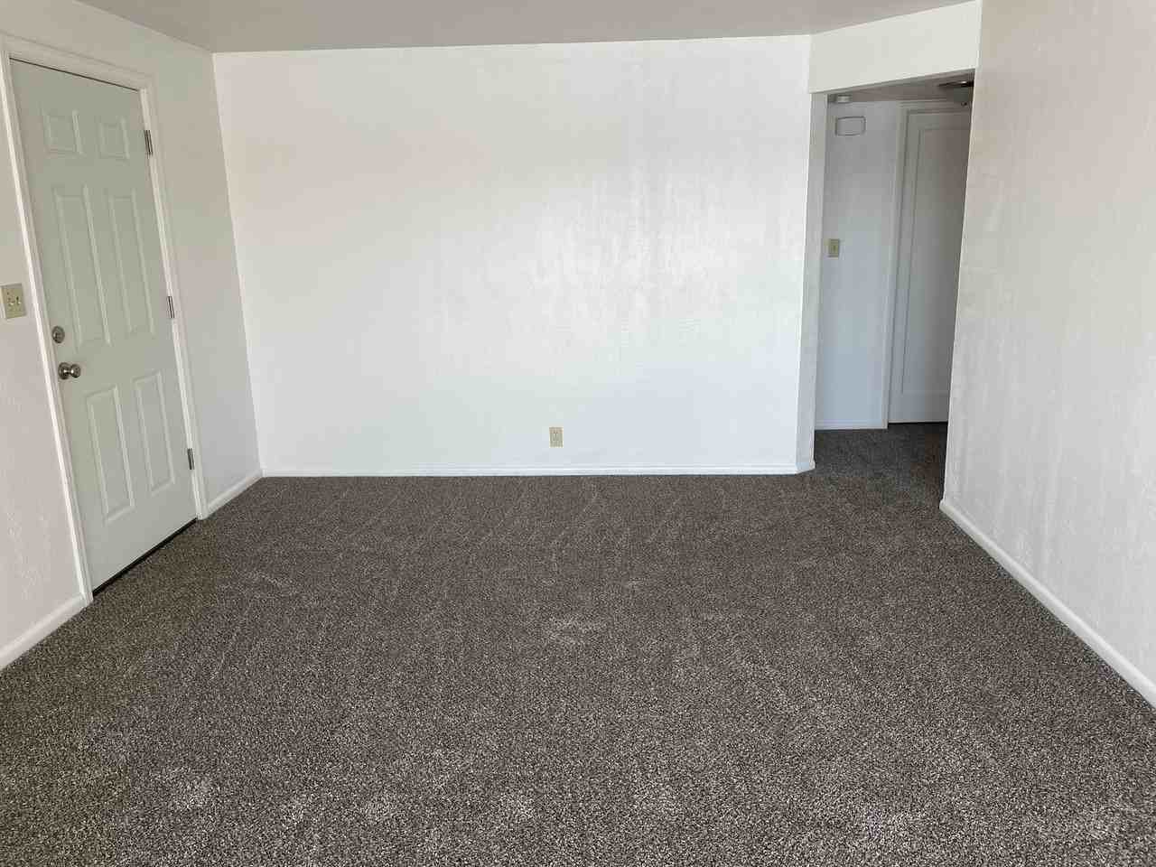 1041 W Lakeside Dr - Photo 5 of 13