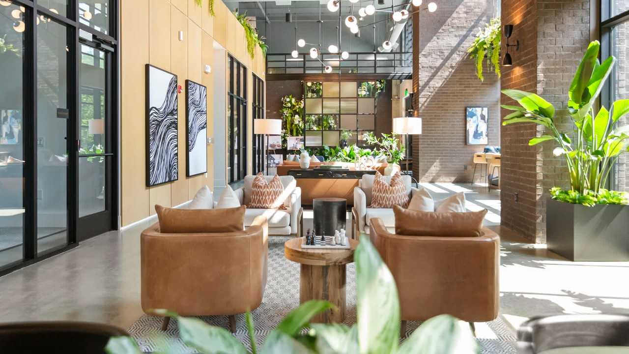 Iris O4W - Photo 2 of 34