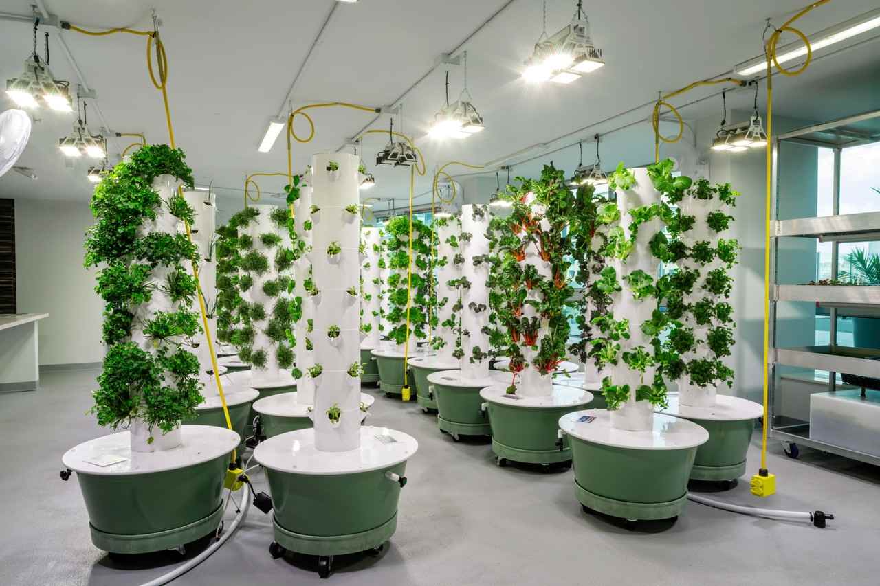 Liberty Towers - Photo 2 of 48