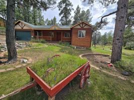 featured image of 224 Capitan Cir