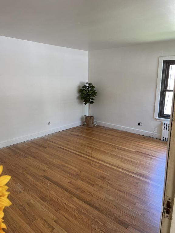 845 New Scotland Ave Apt 4 - Photo 5 of 12