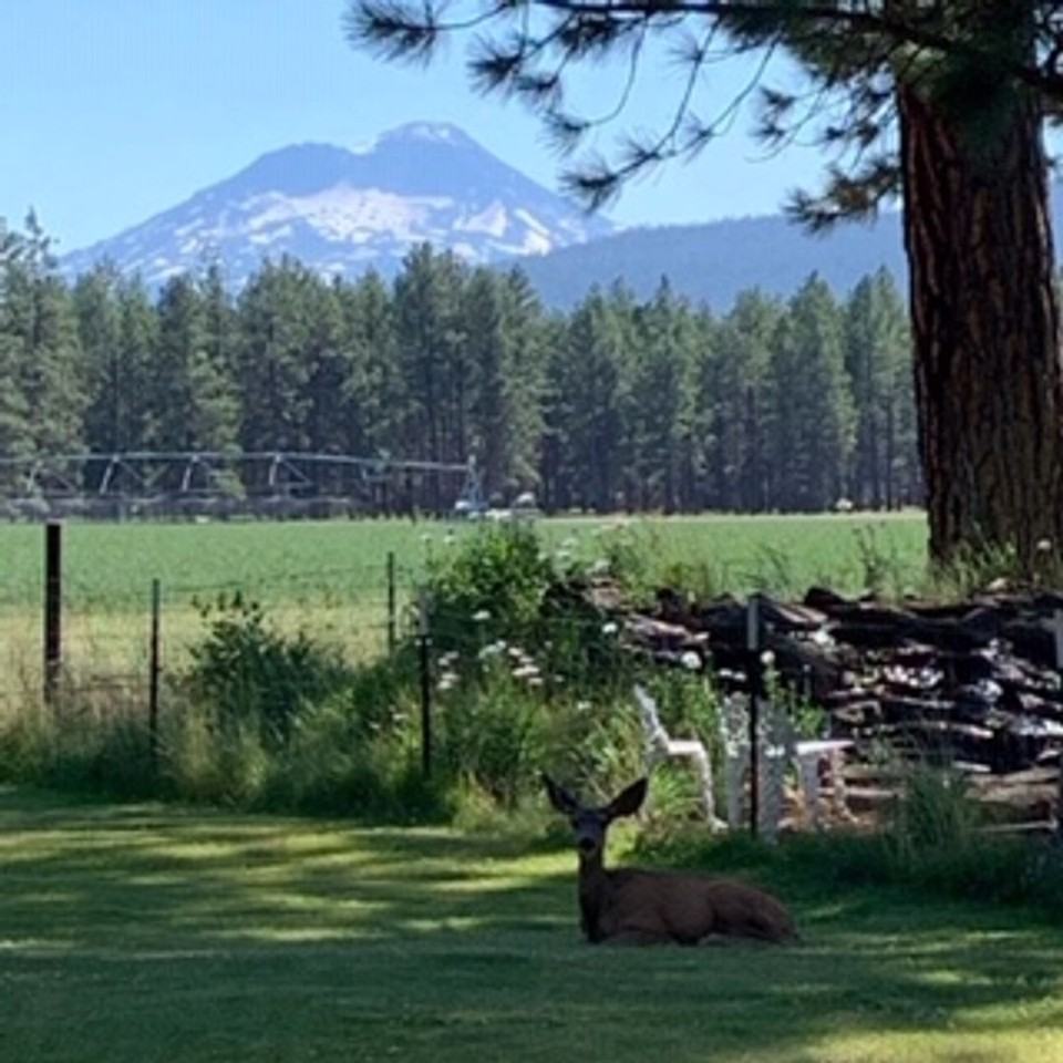 69208 Tapidero - Photo 2 of 8