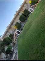 featured image of 231 Cattle Call Dr #0