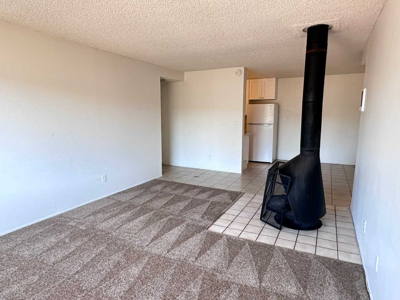 Macaulay - Photo 2 of 10