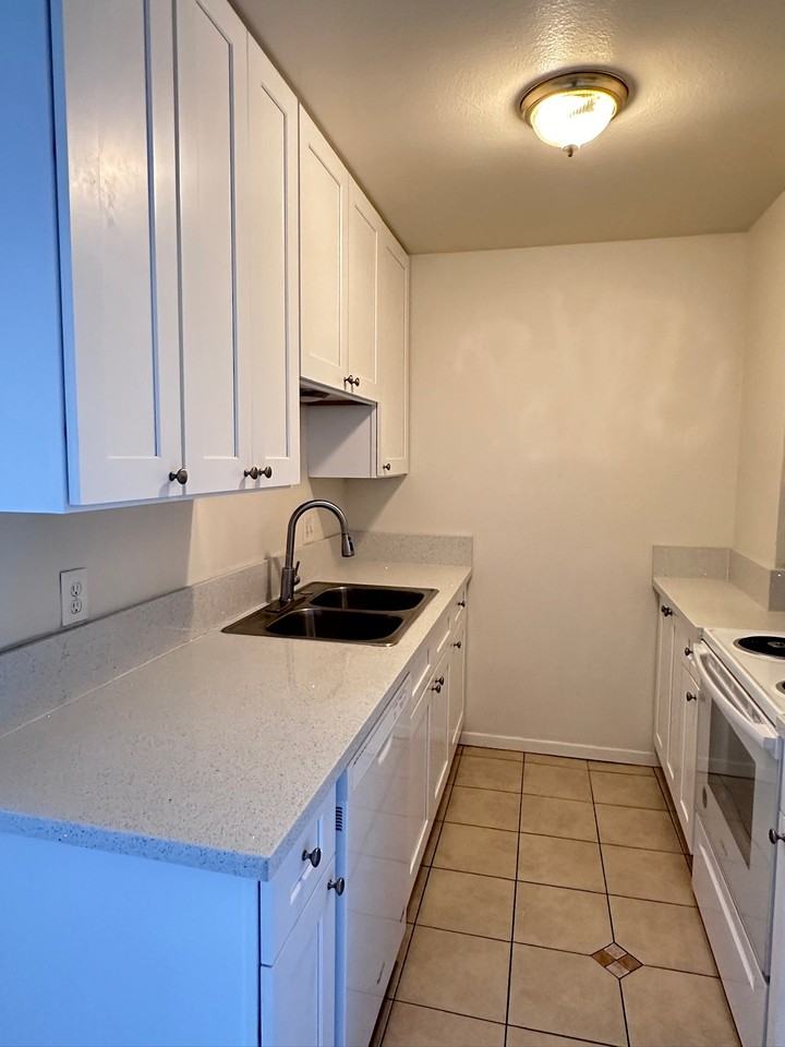 Macaulay - Photo 3 of 10